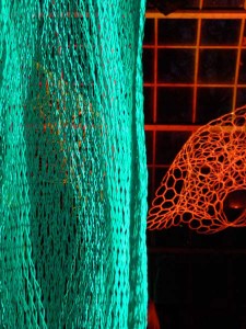 Kensington Archilace: Loop.pH