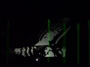 Nachtgarten, Atelier Markgraph