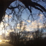 Die Abendsonne taucht die Szene in ein fast sakrales Licht.
