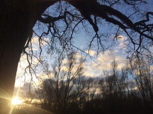 Die Abendsonne taucht die Szene in ein fast sakrales Licht.