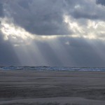 Meer