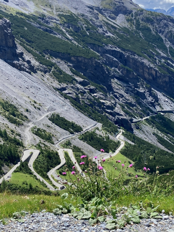 Stilfser Joch, Serpentinen